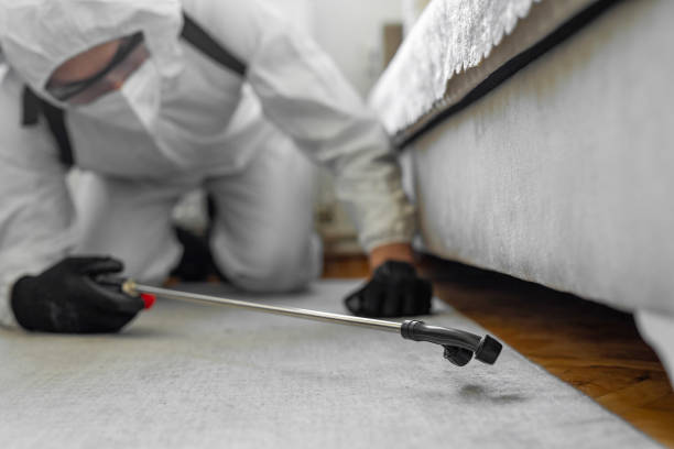 Professional Cockroach Control technician working in Richton Park, IL