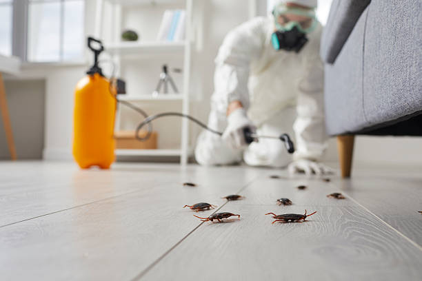 Trusted Emergency Pest Control service in Richton Park, IL - Nex Pest Control