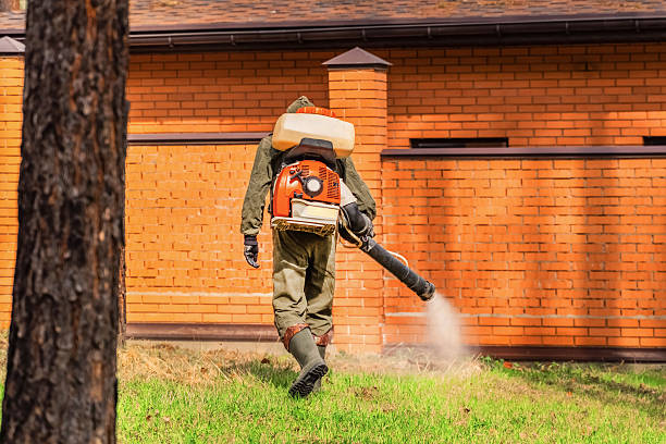 Trusted Termite Control service in Richton Park, IL - Nex Pest Control